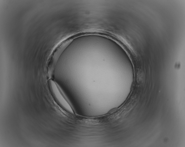 X0000097911356200803281353