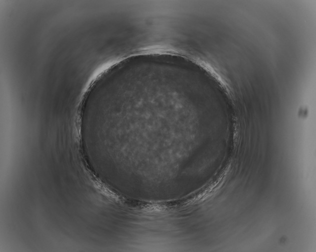 X0000097911358200803281353