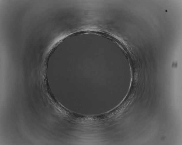 X0000097911359200803281353