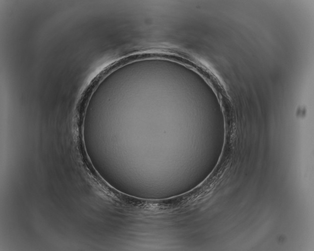 X0000097911360200803281353