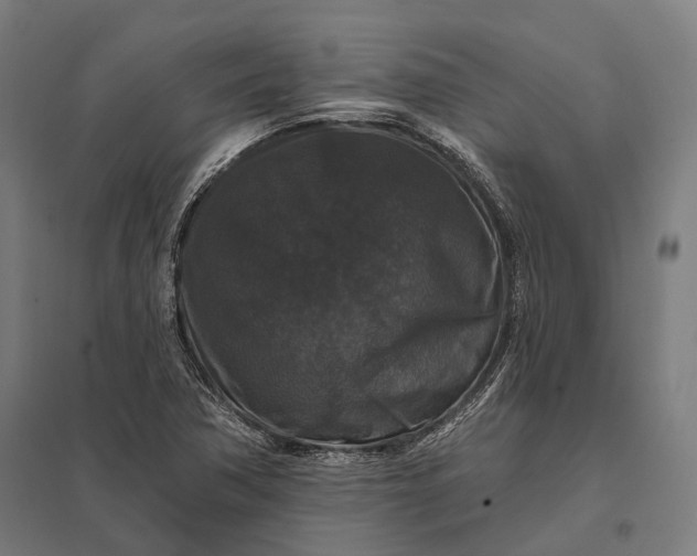 X0000097911362200803281353