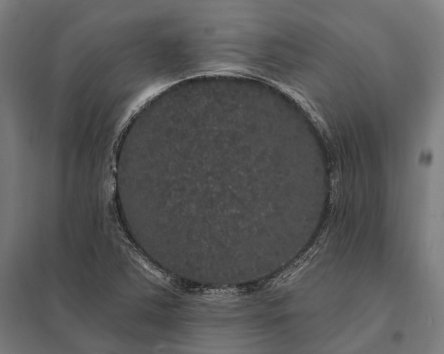 X0000097911363200803281353