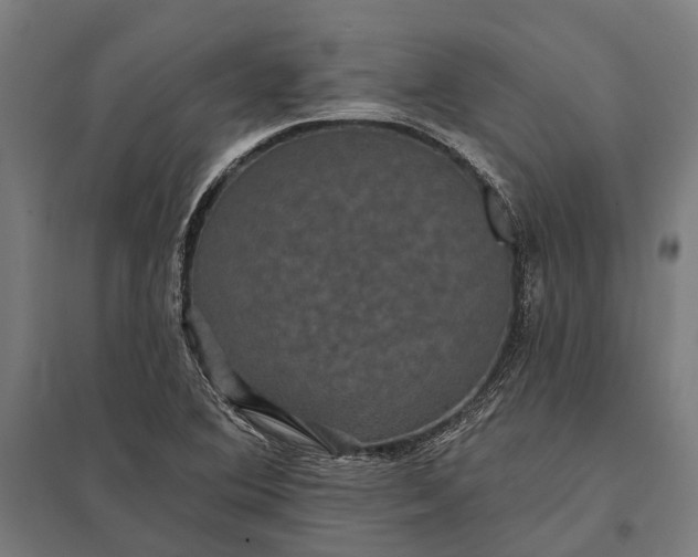 X0000097911364200803281353