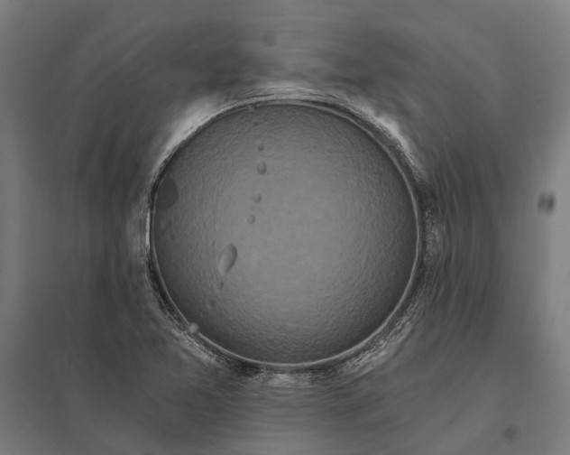 X0000097911365200803281353