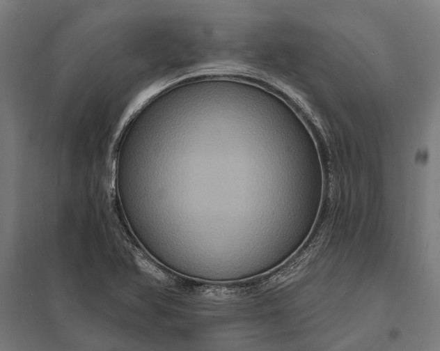 X0000097911366200803281353