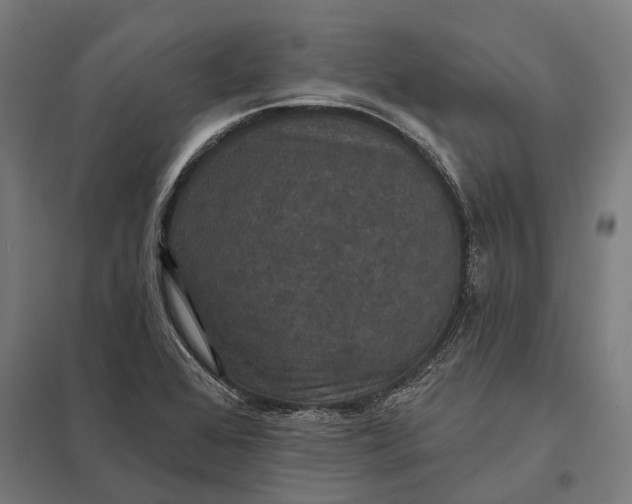 X0000097911368200803281352