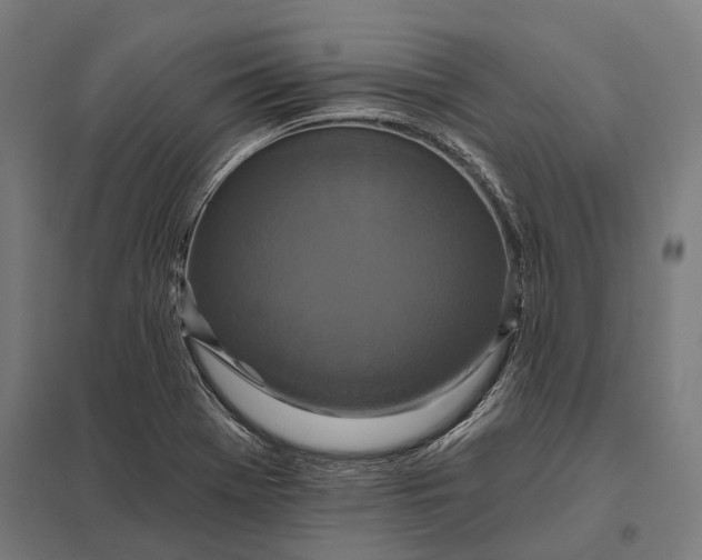 X0000097911369200803281352