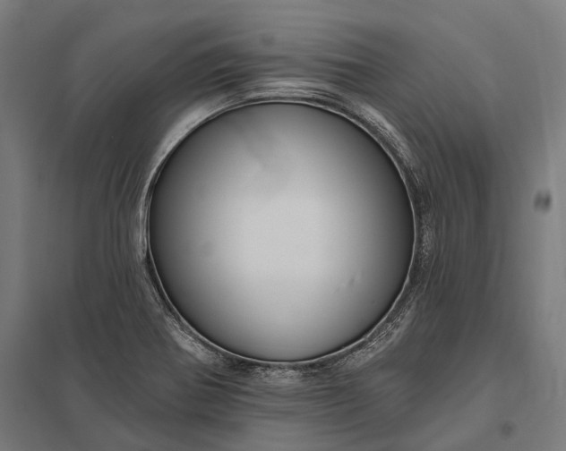 X0000097911370200803281352