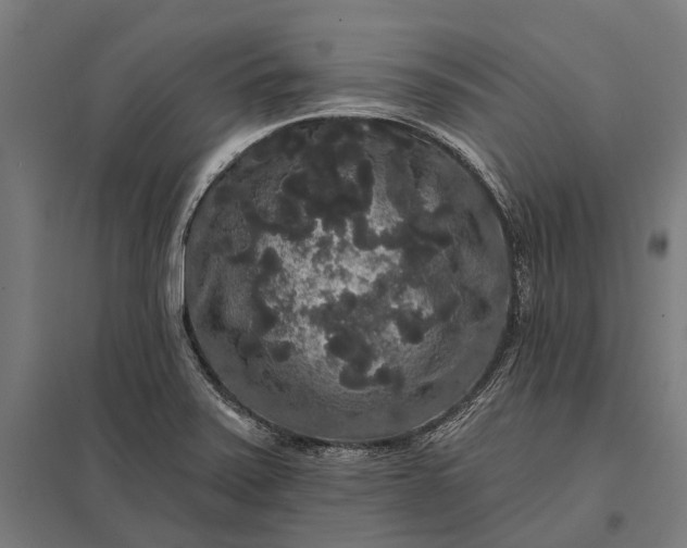 X0000097911371200803281352