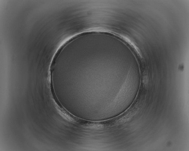 X0000097911372200803281352