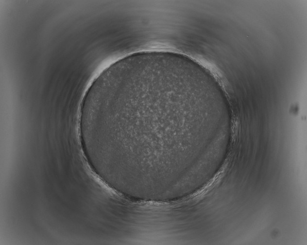 X0000097911374200803281352