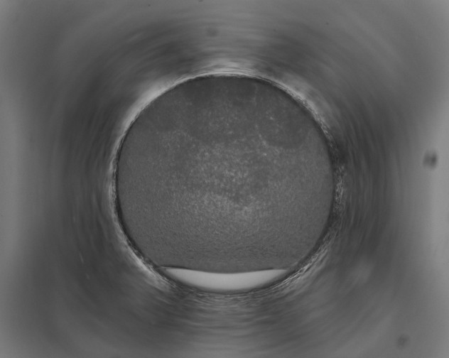 X0000097911375200803281352