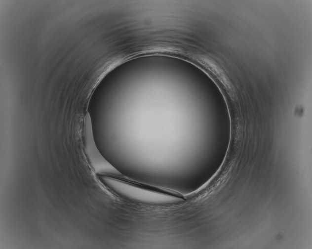 X0000097911377200803281352