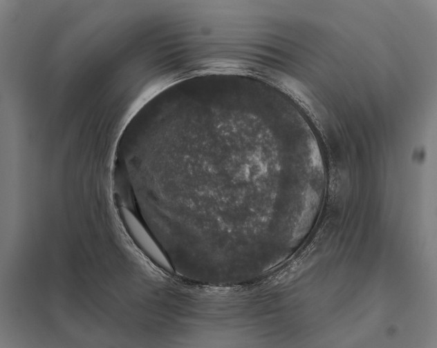 X0000097911378200803281352