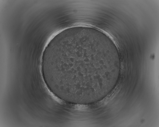 X0000097911379200803281352