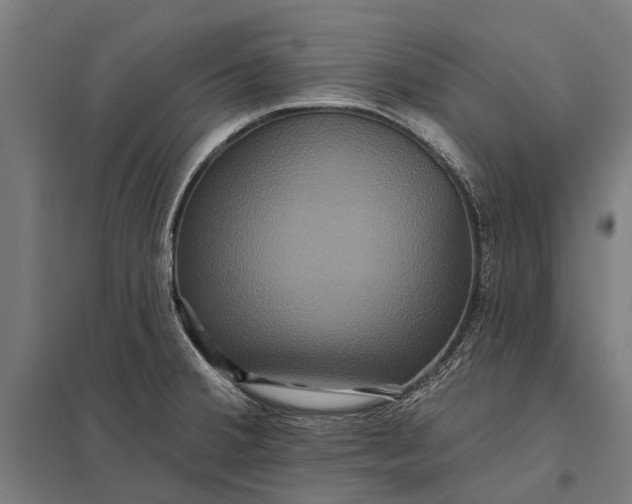 X0000097911380200803281352