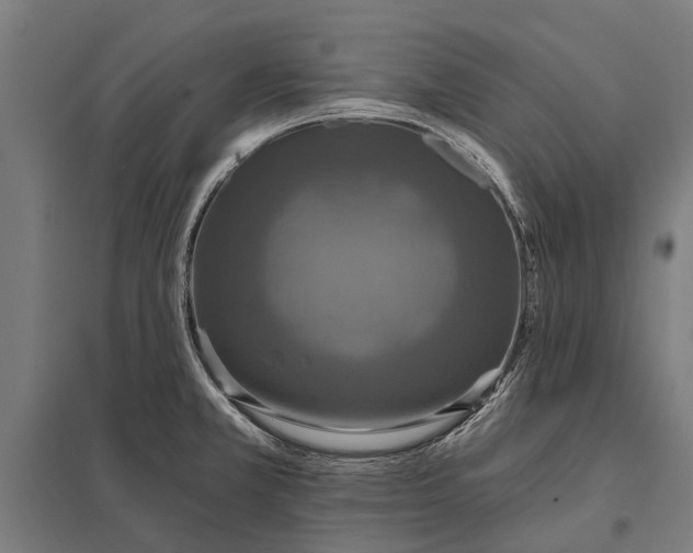 X0000097911381200803281352