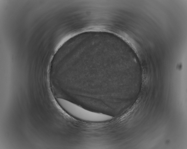 X0000097911382200803281352