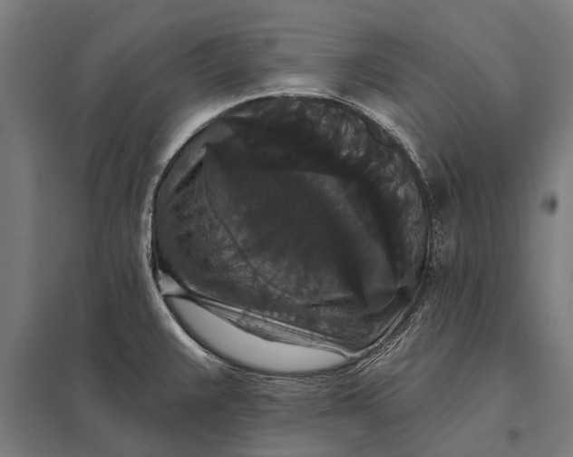 X0000097911383200803281352