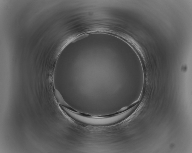 X0000097911385200803281352