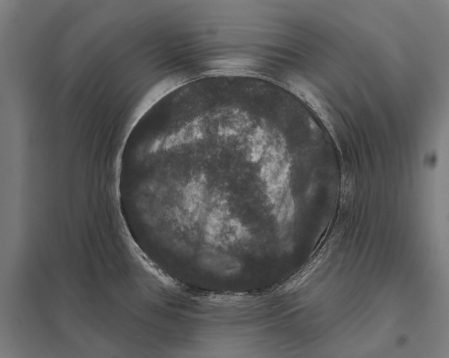 X0000097911386200803281352