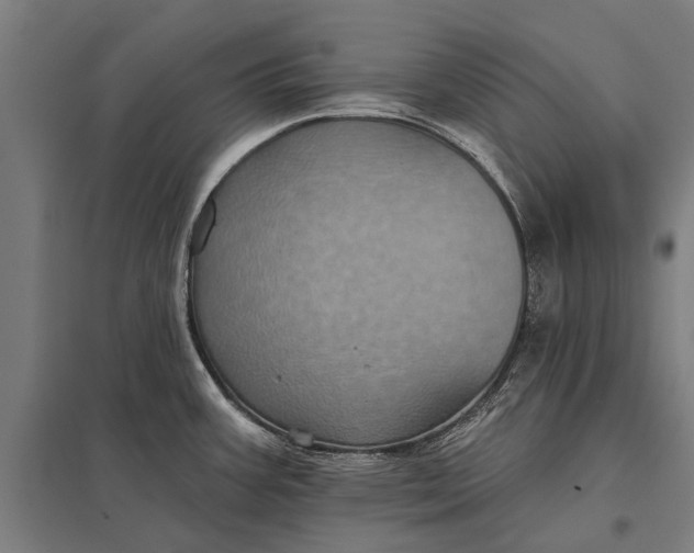 X0000097911387200803281352