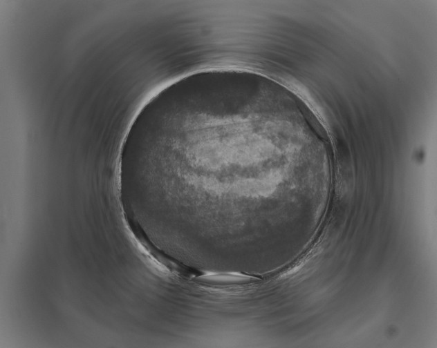 X0000097911388200803281352