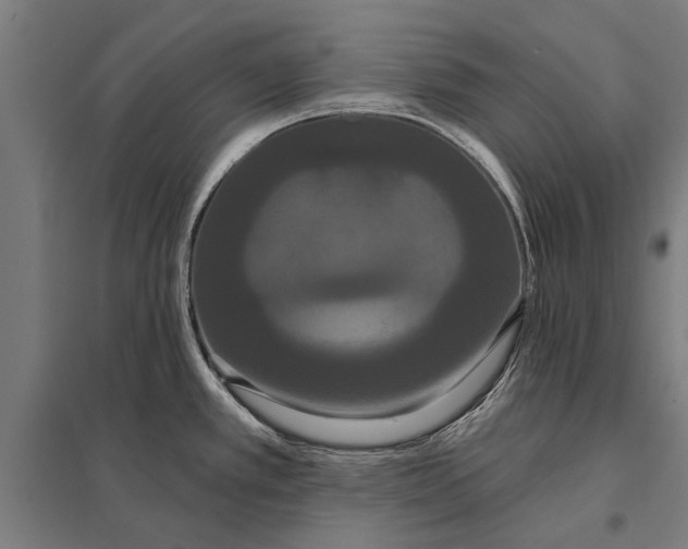 X0000097911389200803281352