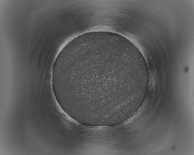 X0000097911390200803281352