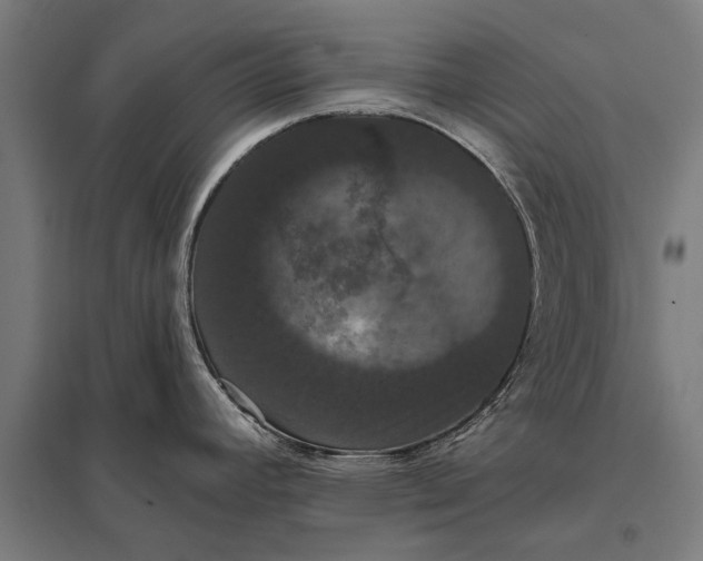 X0000097911392200803281352