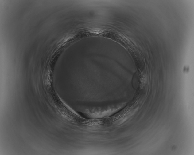 X0000097911394200803281352