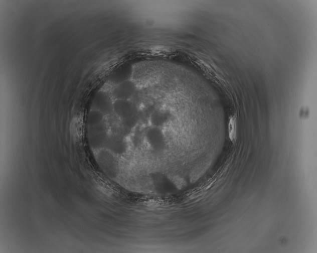 X0000097911395200803281352