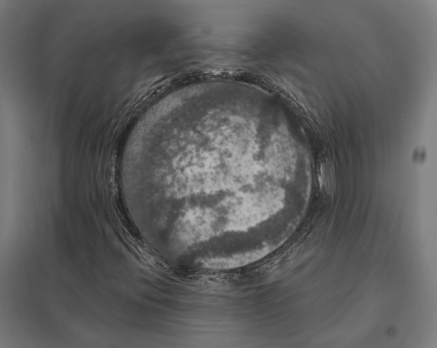 X0000097911396200803281352