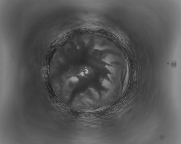 X0000097911397200803281352