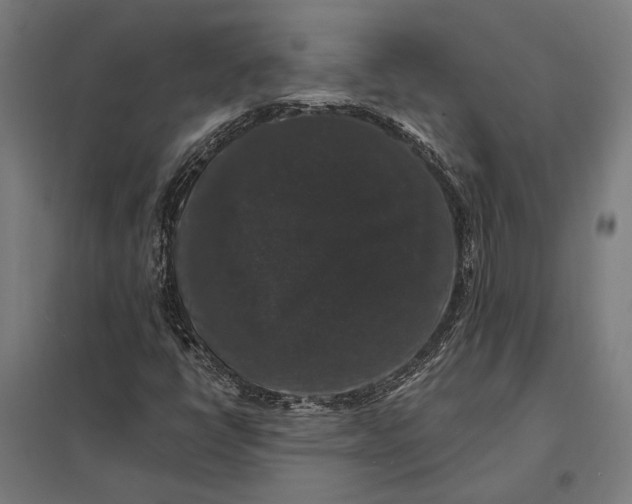 X0000097911398200803281352