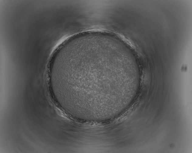 X0000097911400200803281352