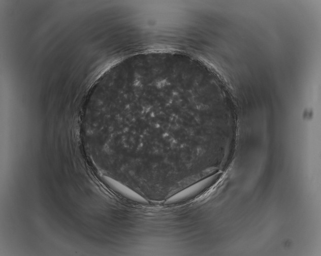 X0000097911401200803281352