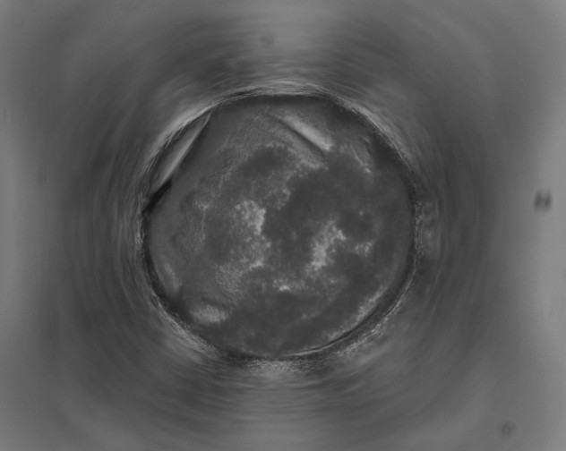 X0000097911402200803281352