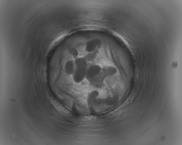 X0000097911403200803281352