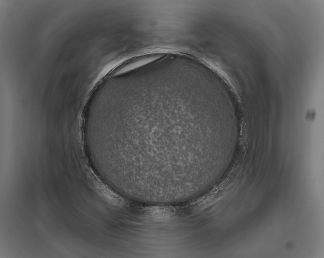 X0000097911404200803281352