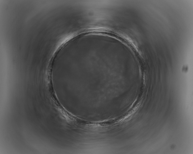 X0000097911405200803281352