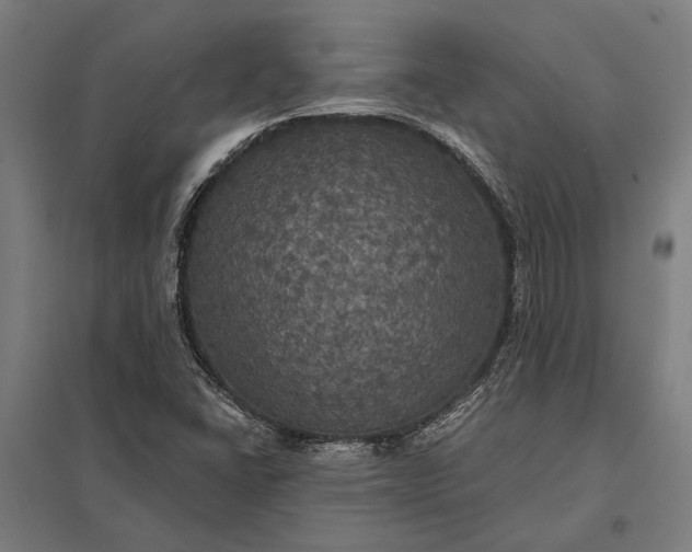 X0000097911406200803281352