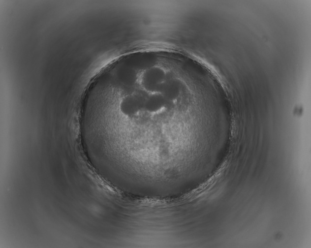 X0000097911407200803281352