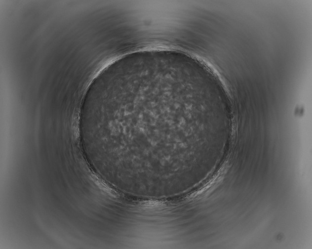 X0000097911409200803281352