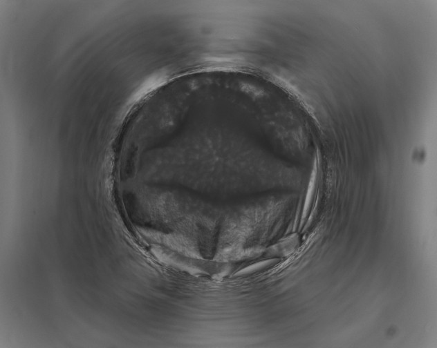 X0000097911411200803281352