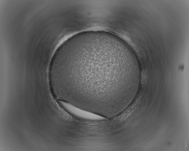 X0000097911412200803281352