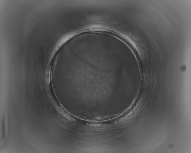 X0000097911413200803281352