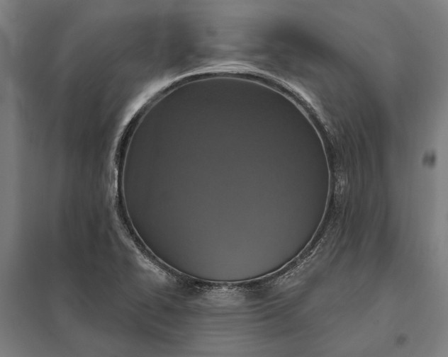 X0000097911414200803281352