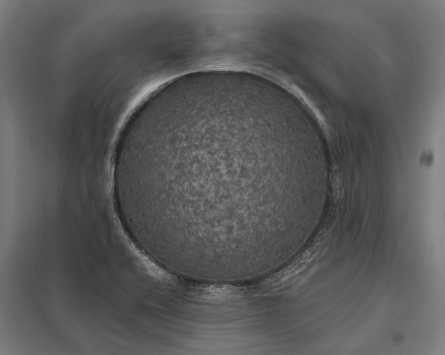 X0000097911416200803281352