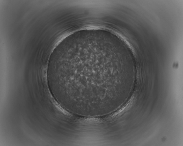 X0000097911417200803281352